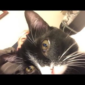 Meet your Posher, Andrew